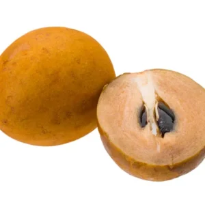 sapodilla | Sapota