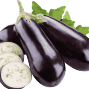 Brinjal | Vankaya