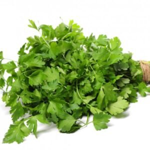 Coriander | Kottimira