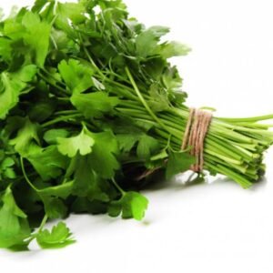 Coriander | Kottimira