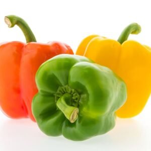 Capsicum | Colorful peppers